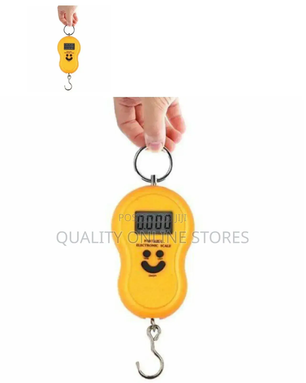 Portable Hanging Scale