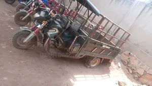 Tricycle 2024 Green