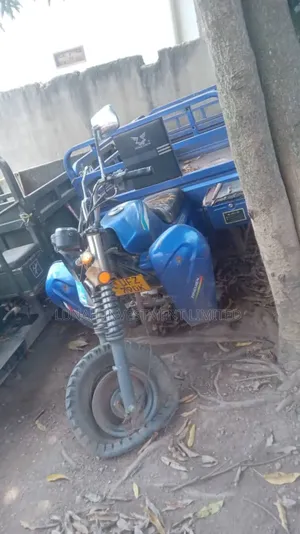 Photo - Tricycle 2024 Blue
