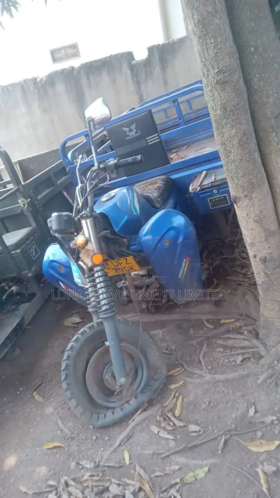 Tricycle 2024 Blue