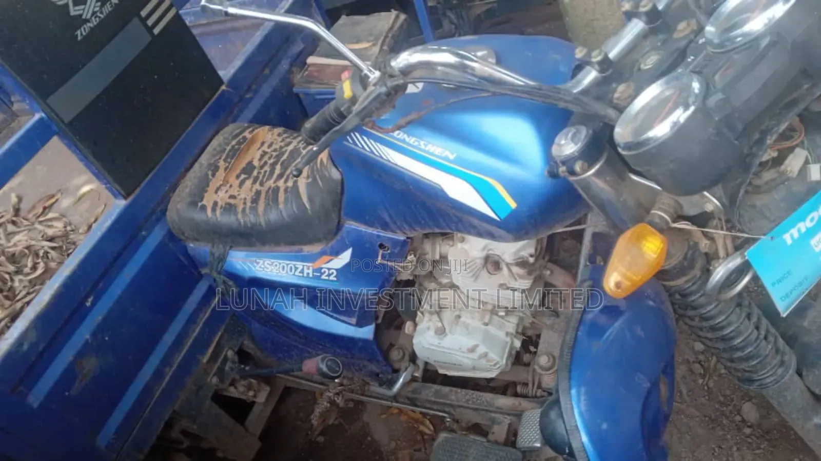 Tricycle 2024 Blue