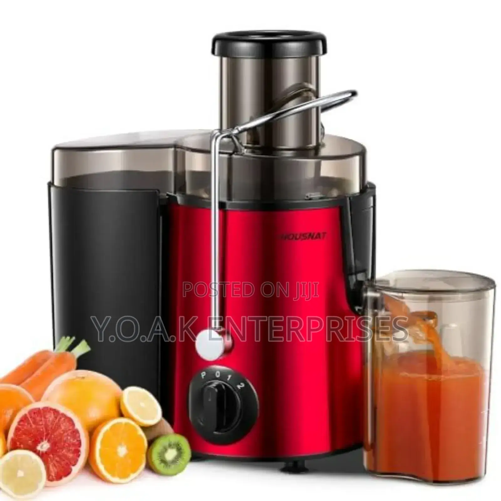 Electric Juicer