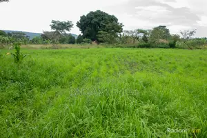 Worried About Soil Degradation Affecting Fodder Production?