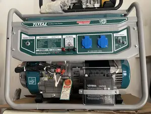 Total Gasoline Generator 5.5kw
