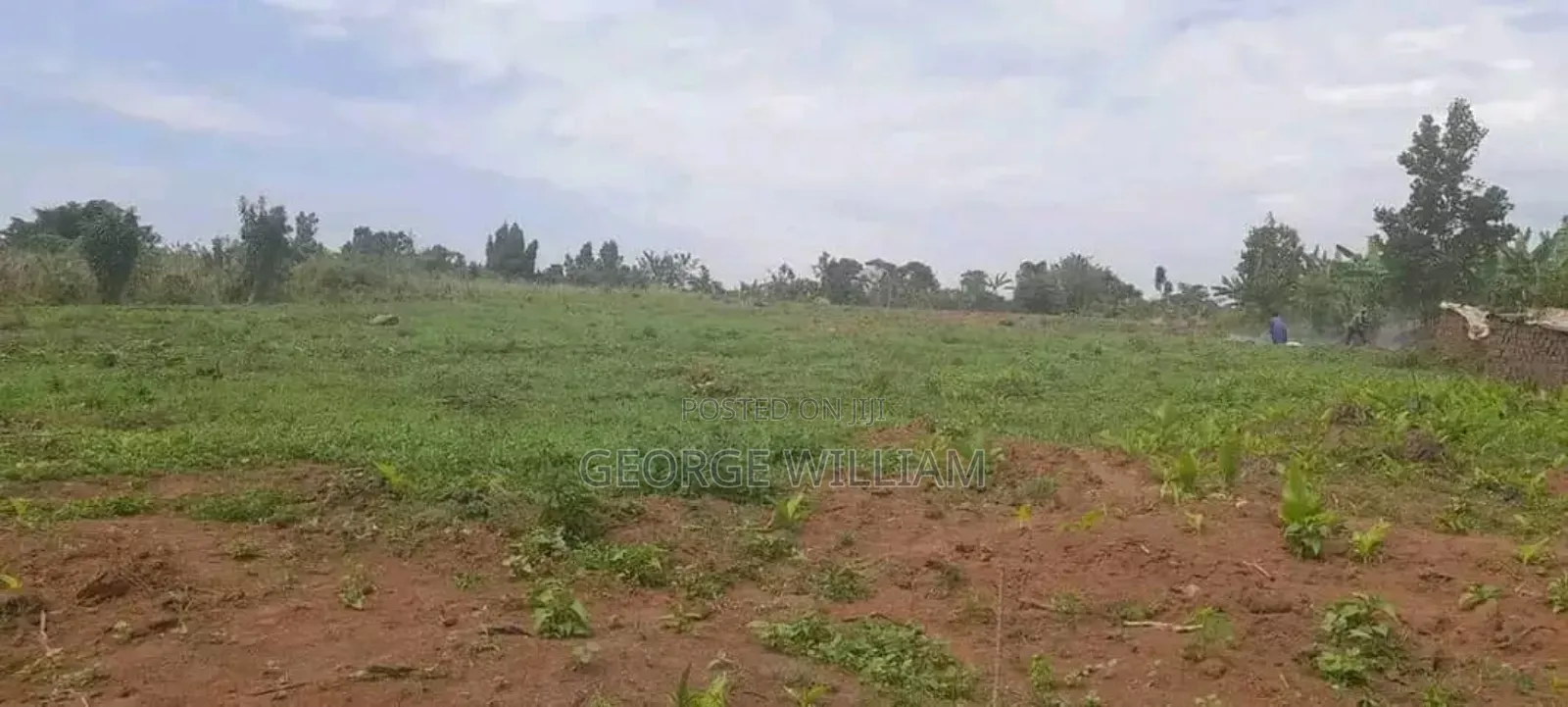 10 Acres of Land on Sale in Luweero Lukinzi