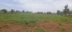10 Acres of Land on Sale in Luweero Lukinzi