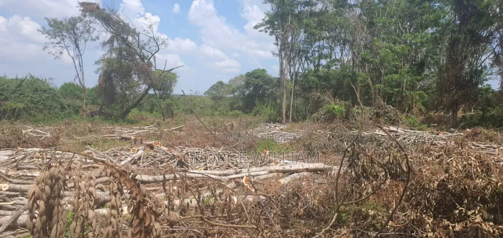 10 Acres of Land on Sale in Luweero Lukinzi