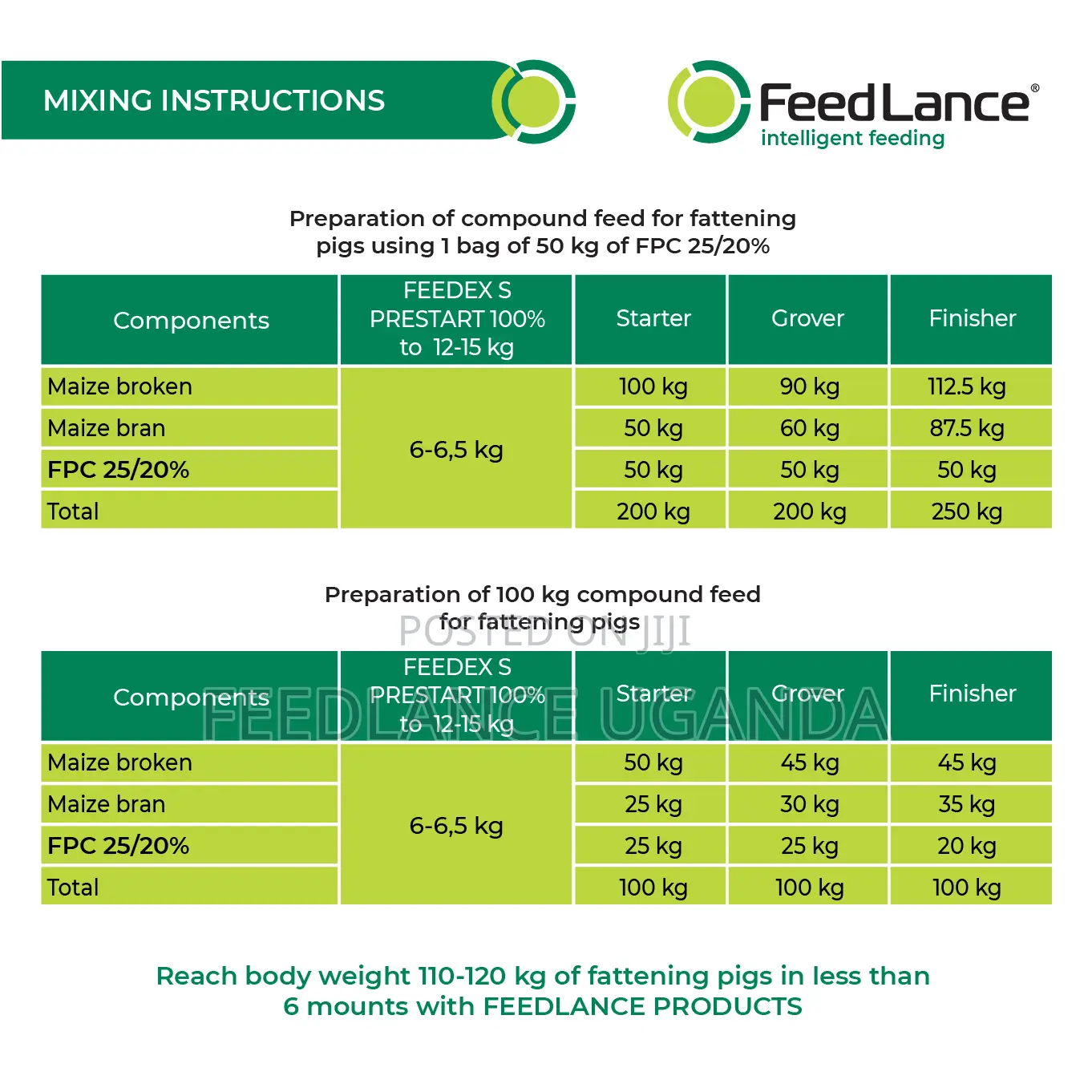 Feedlance Pig Concentrate Protein-vitamin-mineral 25/20%