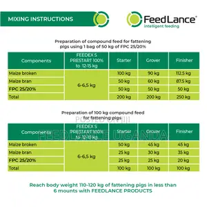 Feedlance Pig Concentrate Protein-vitamin-mineral 25/20%