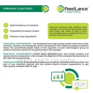 Feedlance Pig Concentrate Protein-vitamin-mineral 25/20%