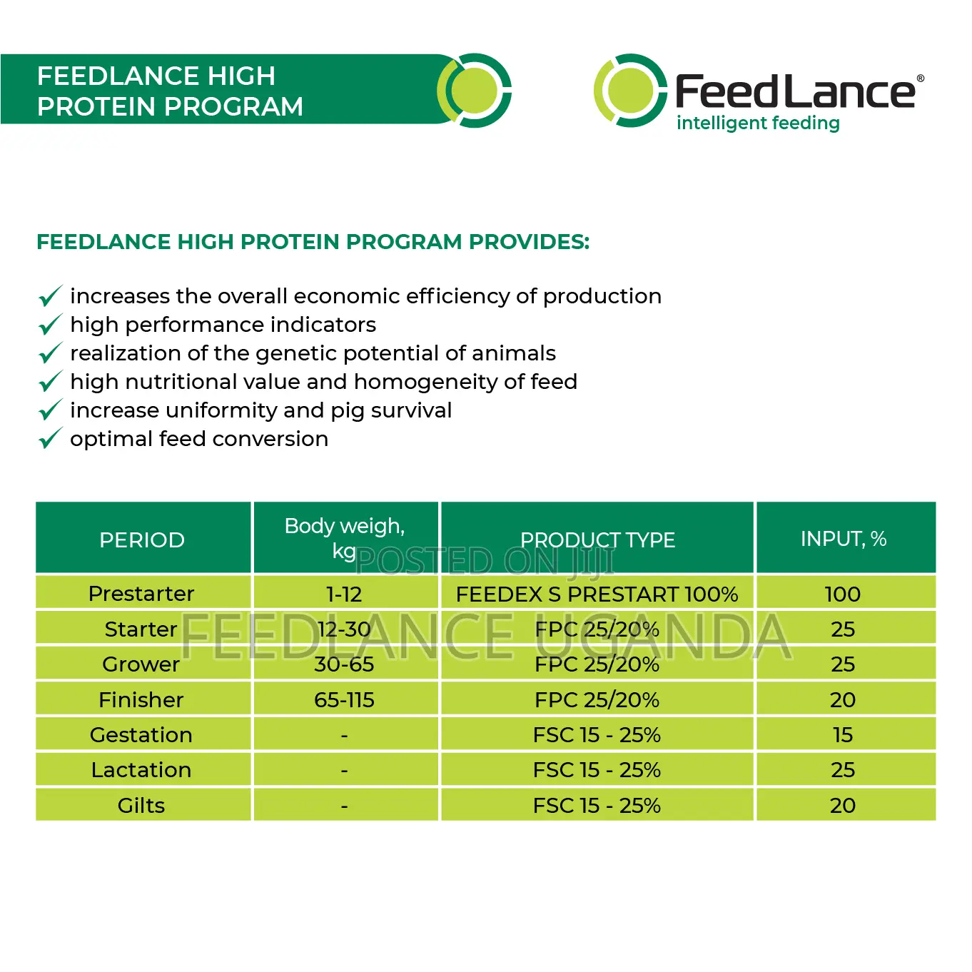 Feedlance Pig Concentrate Protein-vitamin-mineral 25/20%