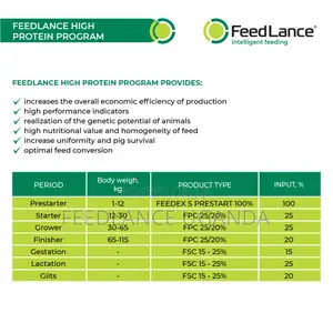 Feedlance Pig Concentrate Protein-vitamin-mineral 25/20%