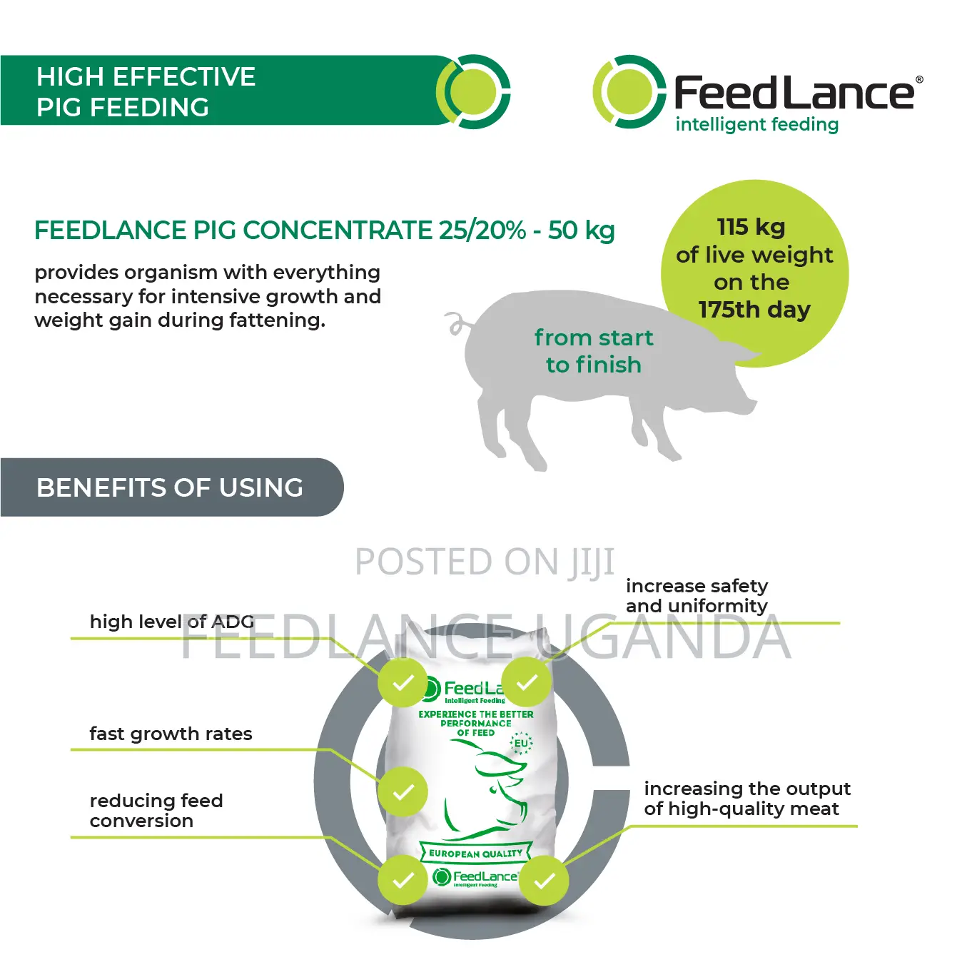 Feedlance Pig Concentrate Protein-vitamin-mineral 25/20%