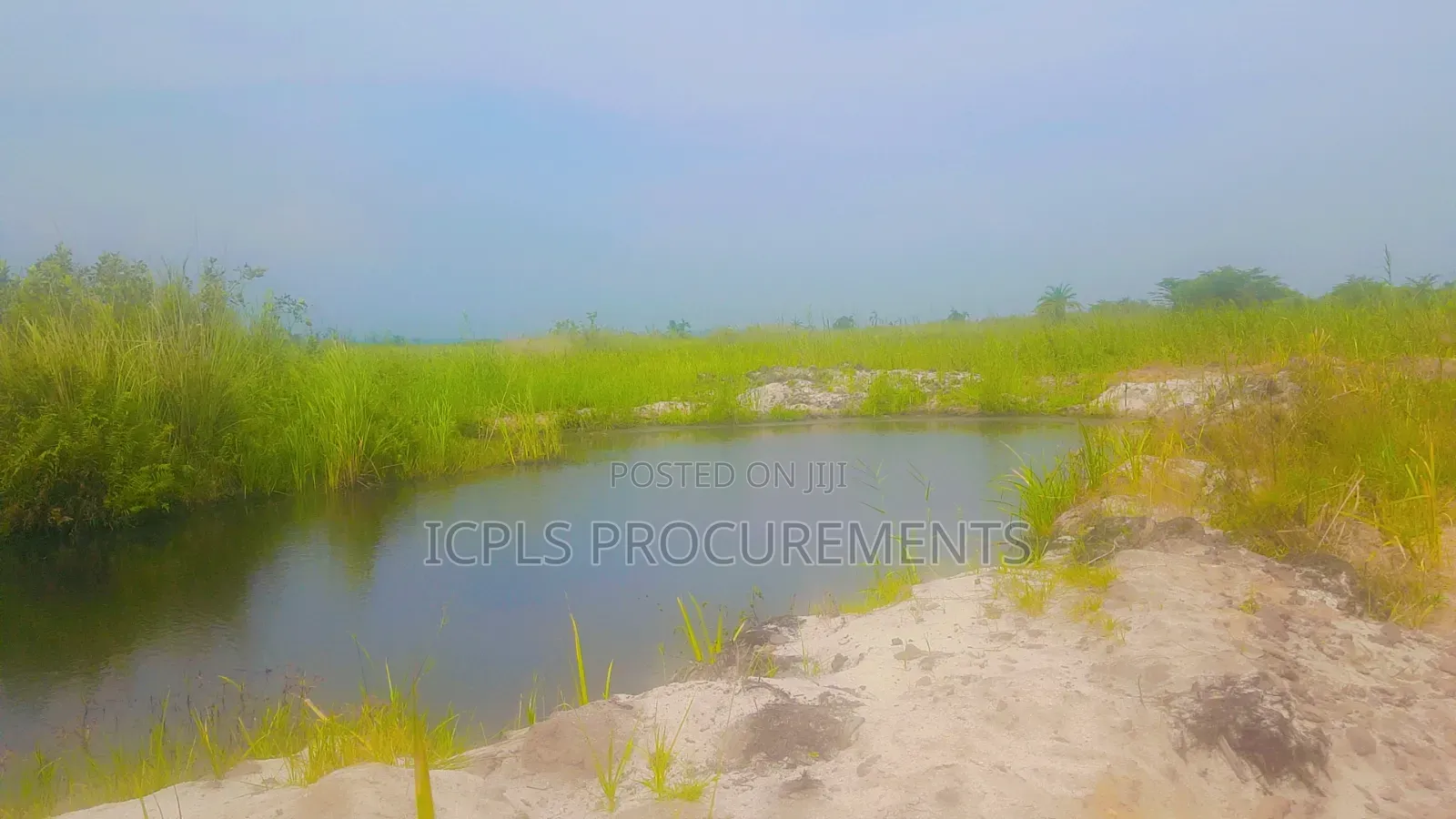 97 Acres Land of Sand in Lwera Nkozi