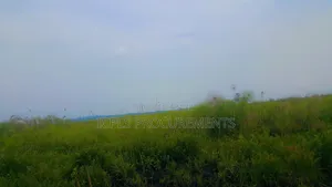 97 Acres Land of Sand in Lwera Nkozi