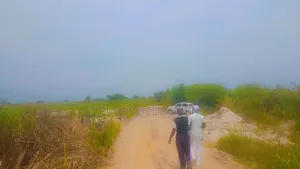 97 Acres Land of Sand in Lwera Nkozi