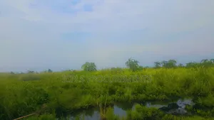 97 Acres Land of Sand in Lwera Nkozi