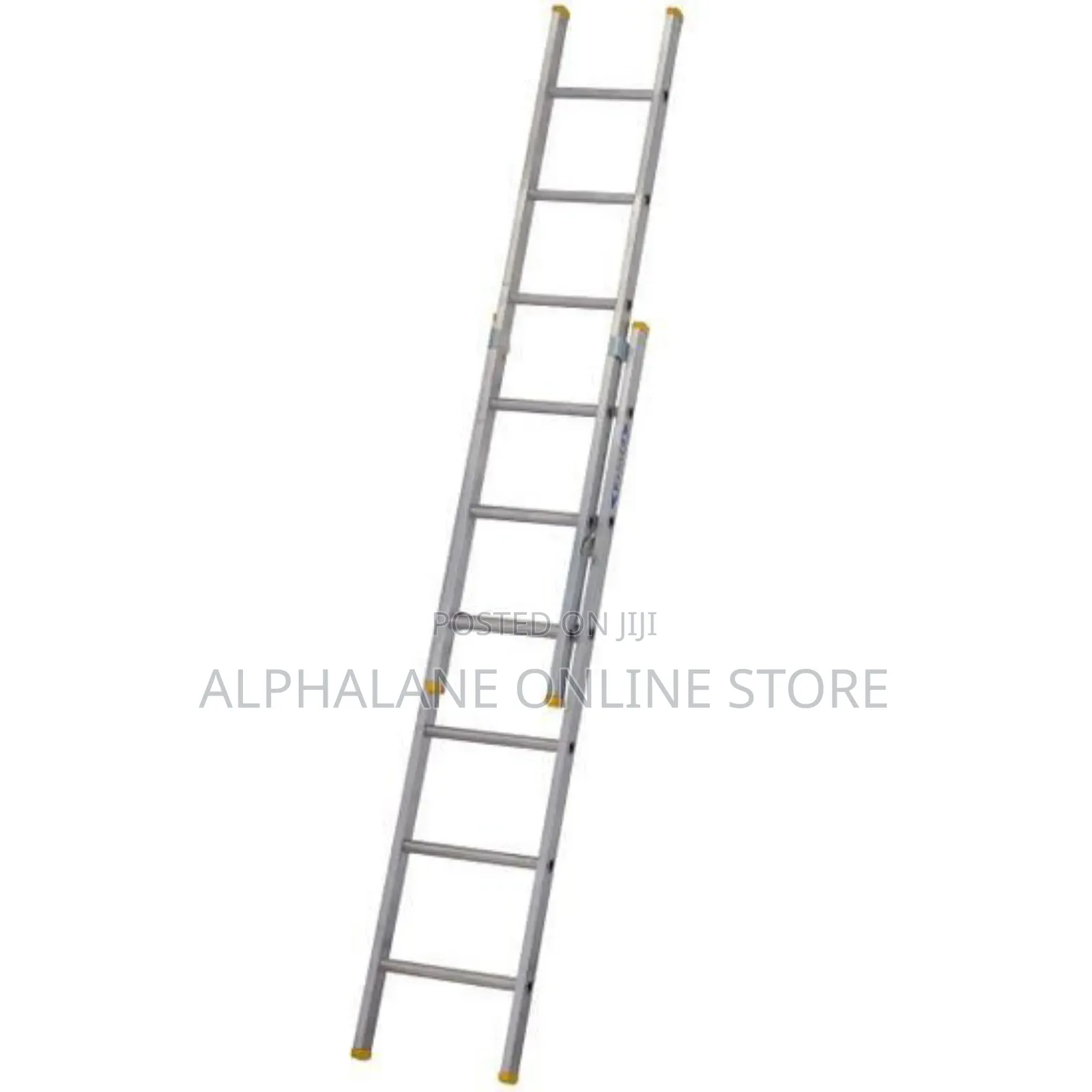 Double Section Extension Ladder 10m