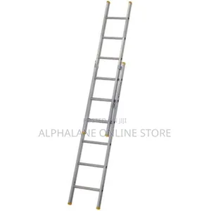Double Section Extension Ladder 10m