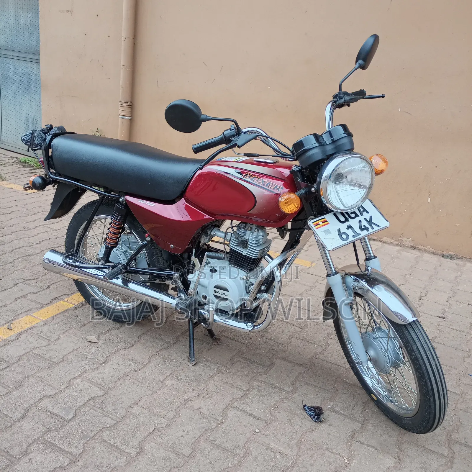 Bajaj Avenger 150 Street 2023 Green