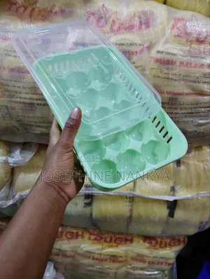 Egg Try With Cover