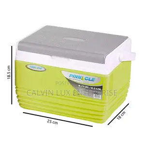 Insulated Cooler Box 4.5liters