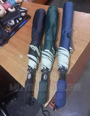 Umbrellas With Automatic Burton.