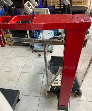 Accuracy Strong Weigh Scale Mechanical Weigh 300kg Fair Weighing Scale