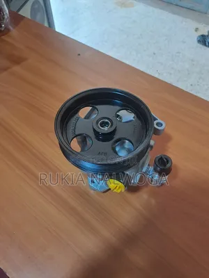 Photo - Steering Pump 164 272 and 273