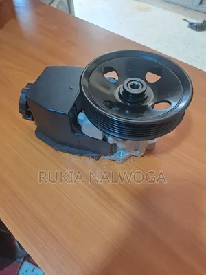 Steering Pump 163