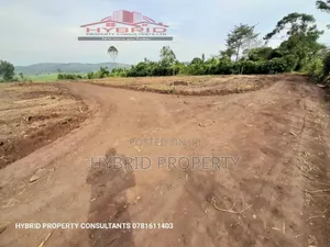 Prime Plots for Sale at Namayumba~Kasanga Divine Land Estate