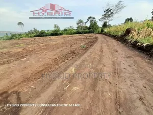 Prime Plots for Sale at Namayumba~Kasanga Divine Land Estate