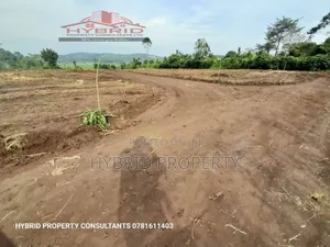Prime Plots for Sale at Namayumba~Kasanga Divine Land Estate
