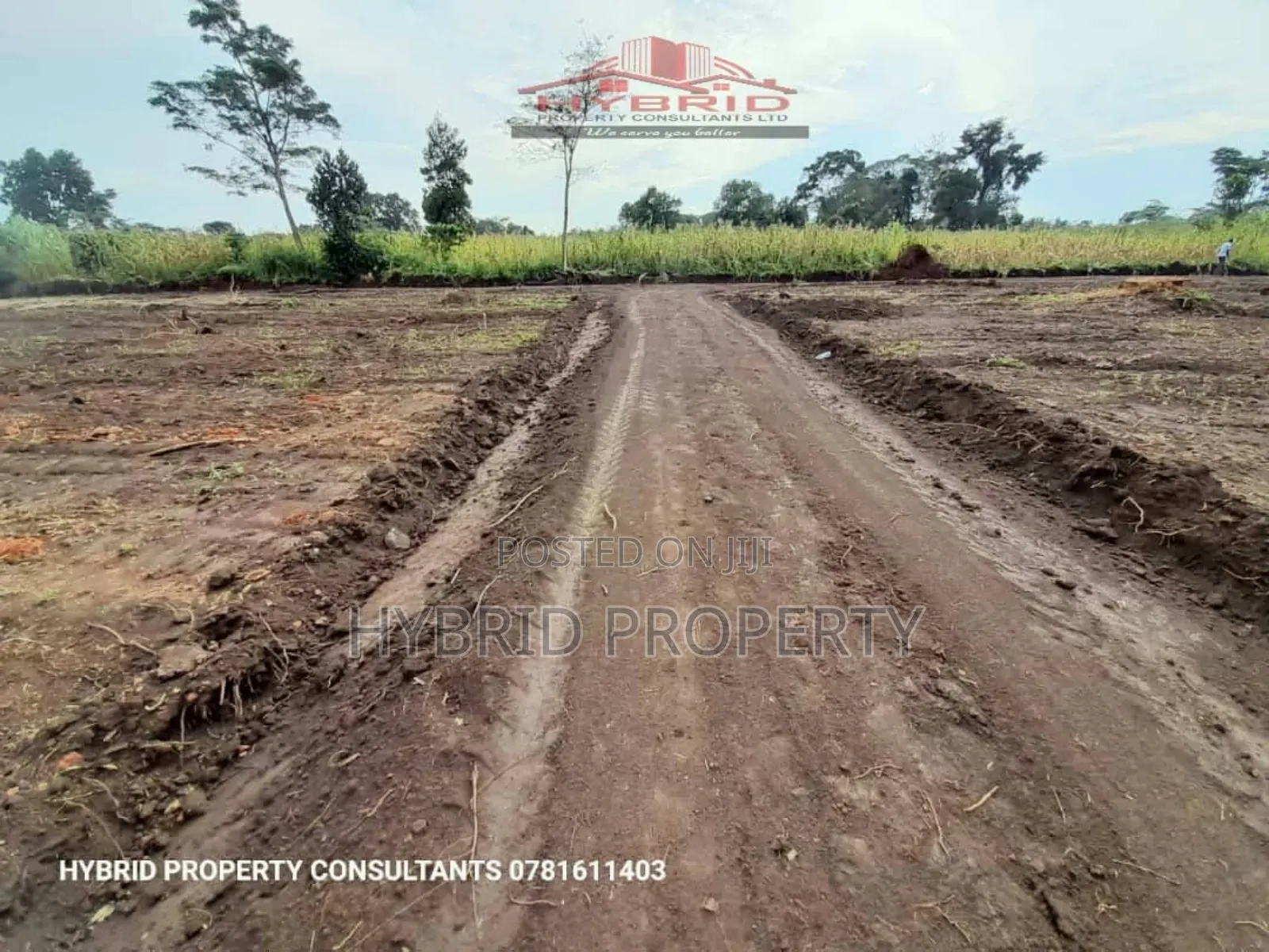 Prime Plots for Sale at Namayumba~Kasanga Divine Land Estate