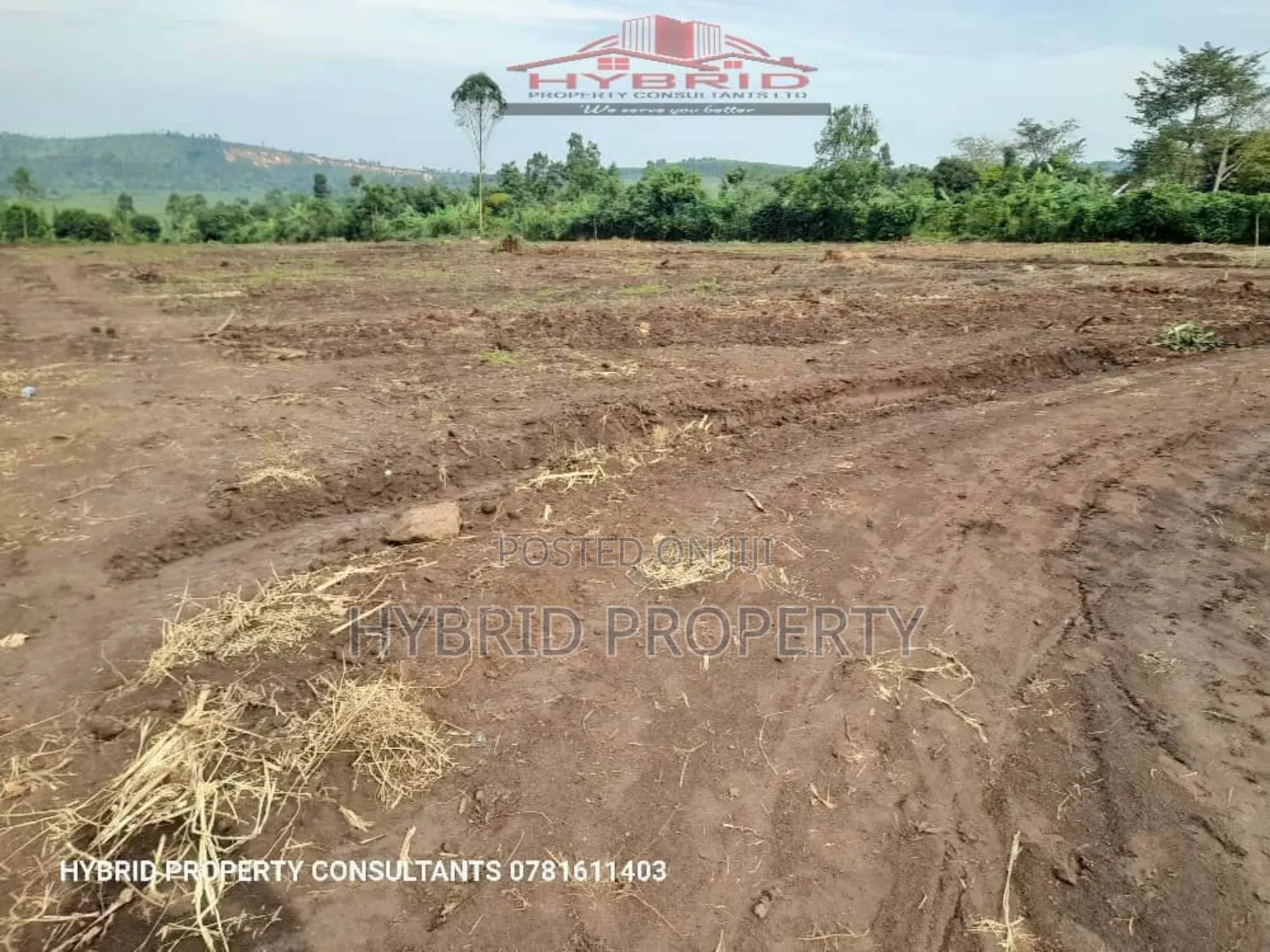 Prime Plots for Sale at Namayumba~Kasanga Divine Land Estate