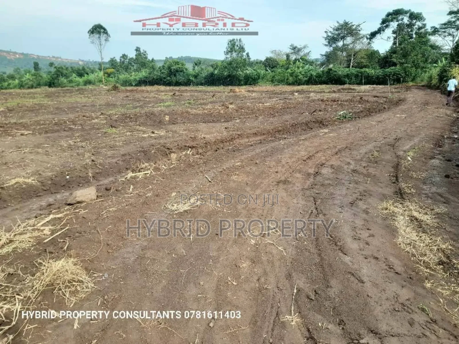 Prime Plots for Sale at Namayumba~Kasanga Divine Land Estate