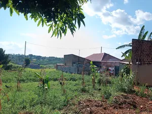Quick Sale!!
27 Decimals Ready Title in Kira Kijabijo 67m