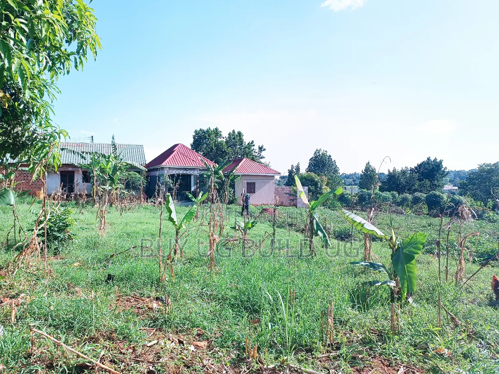 Quick Sale!!
27 Decimals Ready Title in Kira Kijabijo 67m