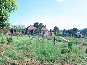 Quick Sale!!
27 Decimals Ready Title in Kira Kijabijo 67m