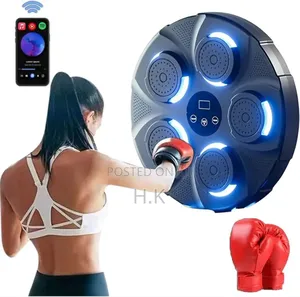Boxing Training Machine