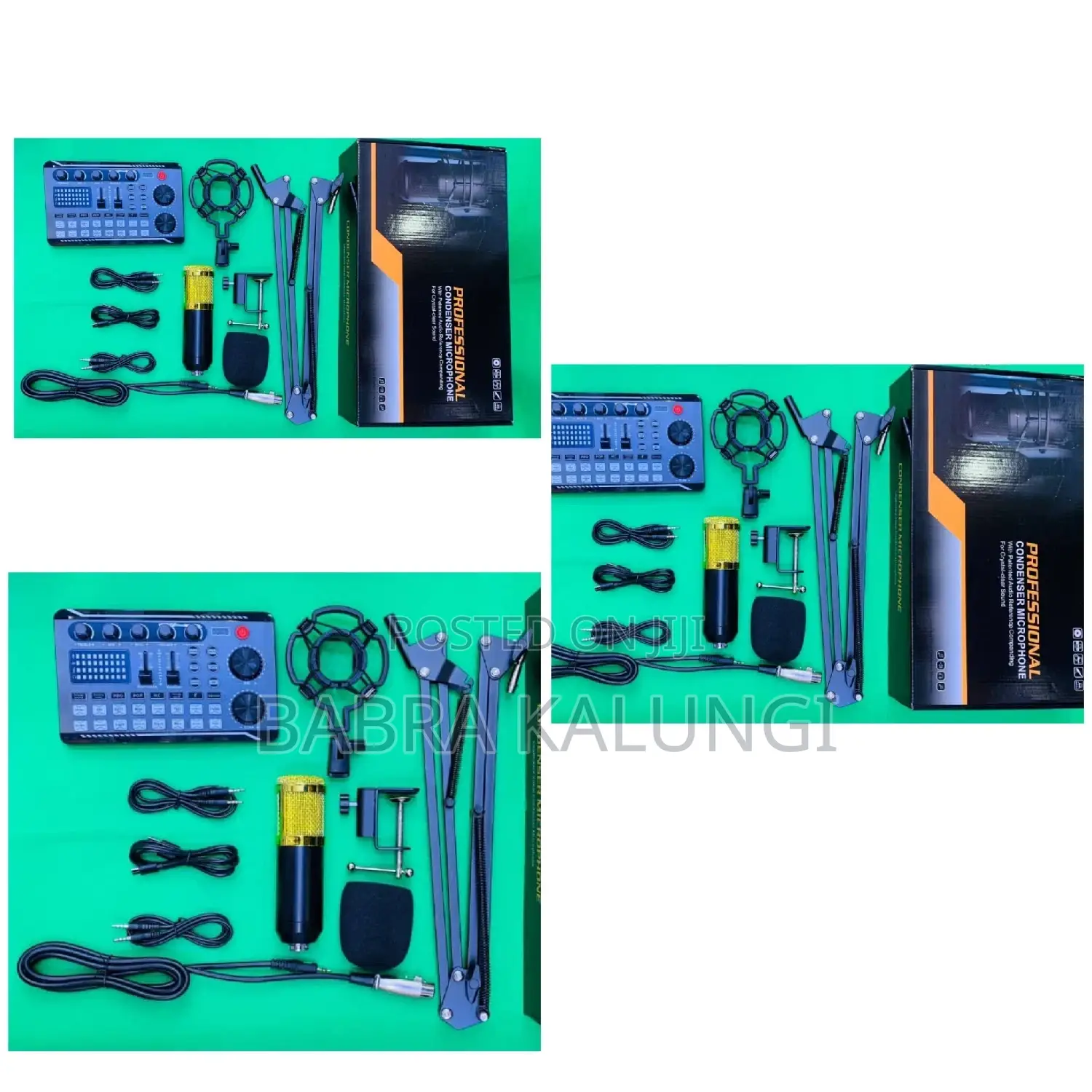 Professional Recording Studio Condenser Mic and Soundcard