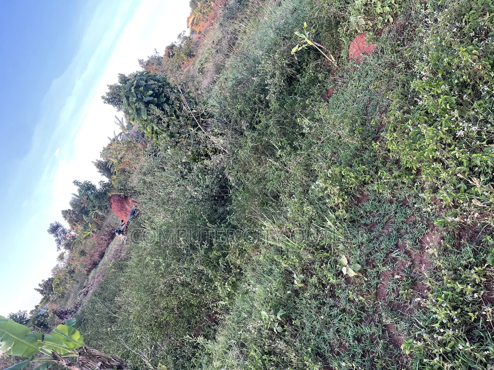 Good Located Plot for Sale