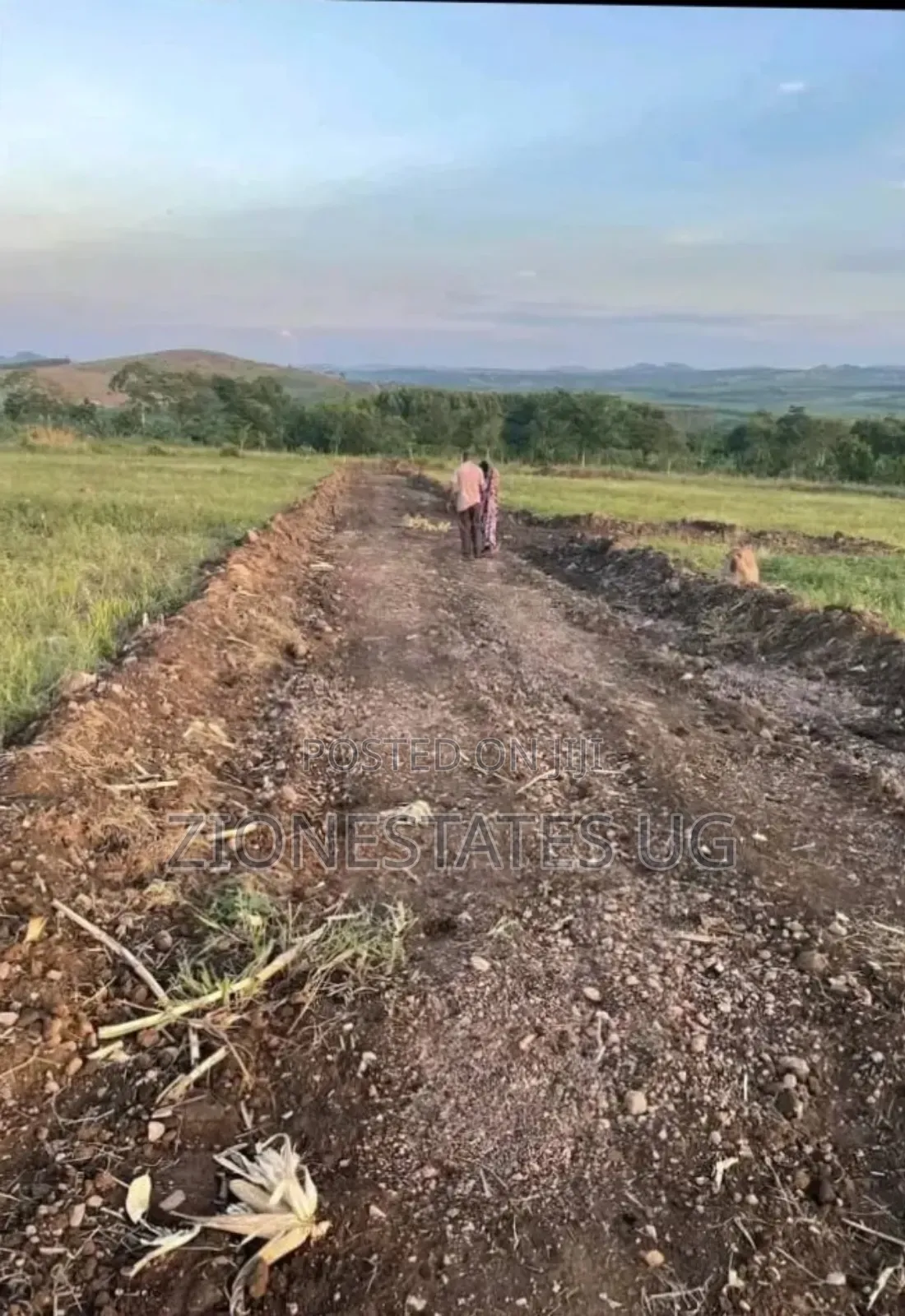 Land for Sale