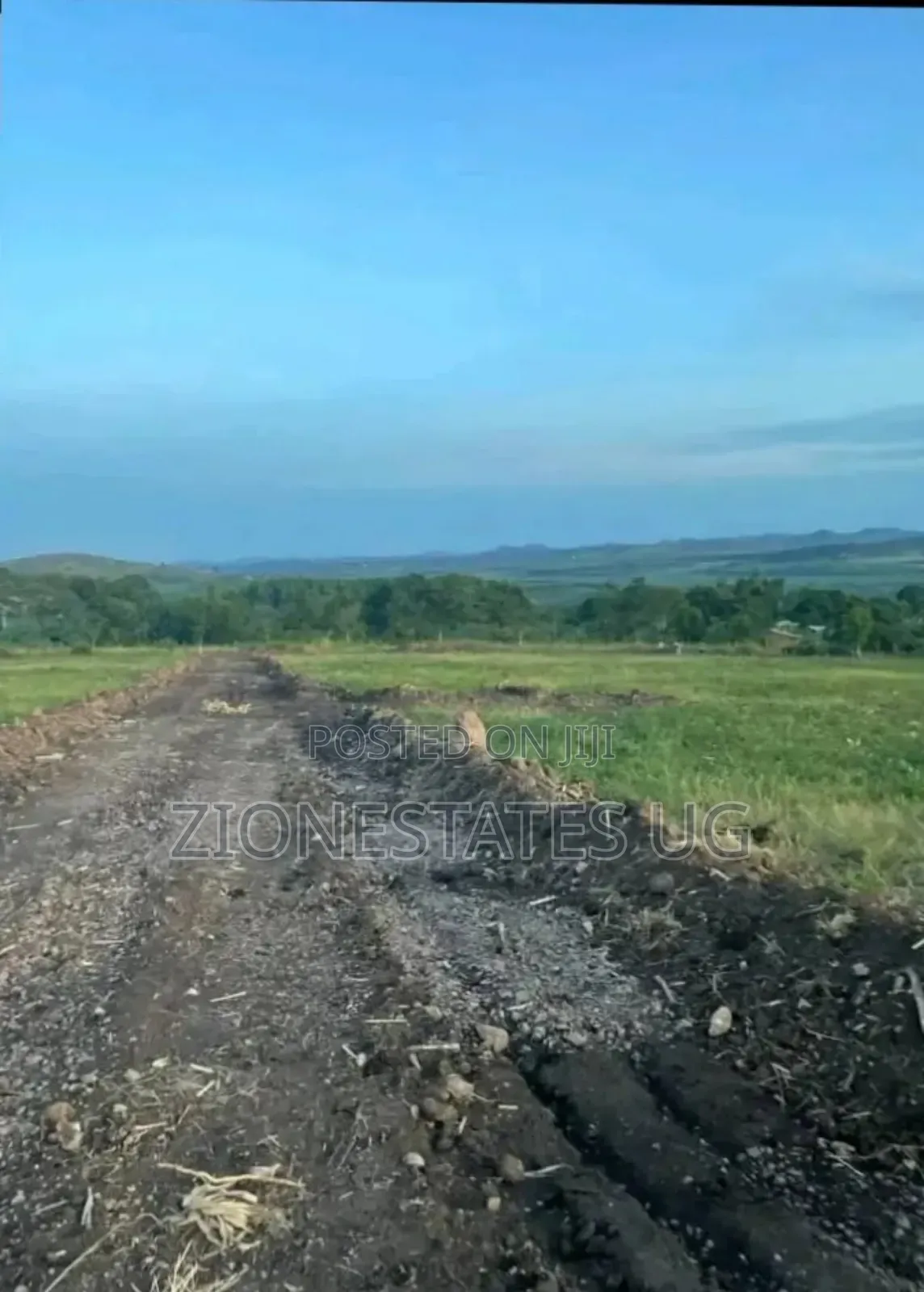 Land for Sale
