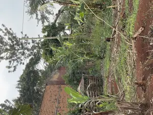 Photo - Residential Land for Sale 50 X50 X 50 X 50