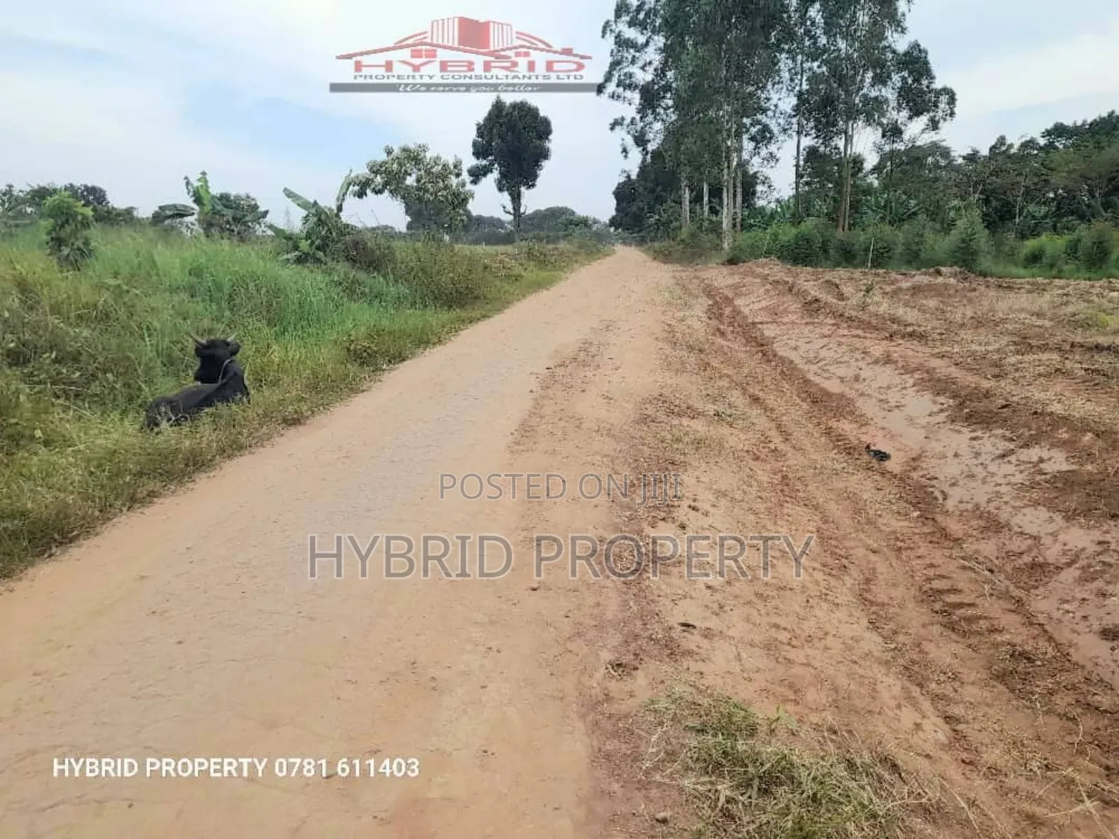 Prime Plots For Sale In Kasanga~Namayumba Town Land Estate V