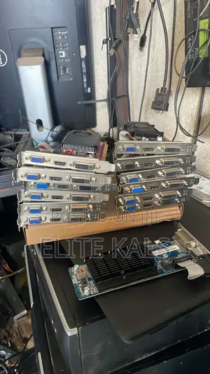 Video Graphics Card