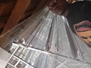 Brand New Layer Cages