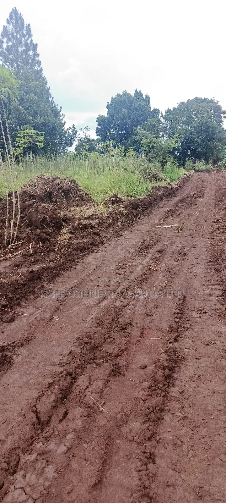 Plots on Sale,