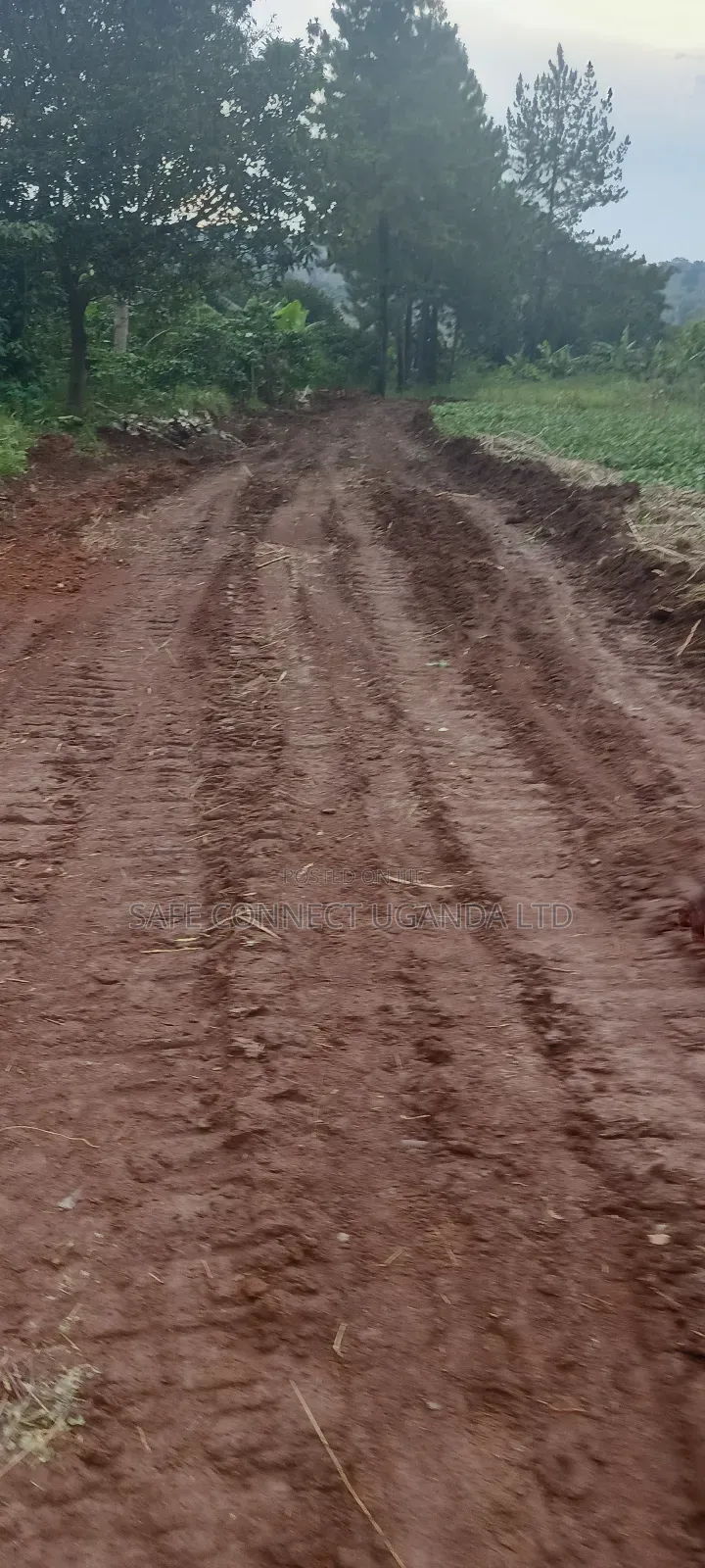 Plots on Sale,